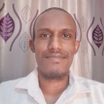 abdosaeedelhassan's avatar