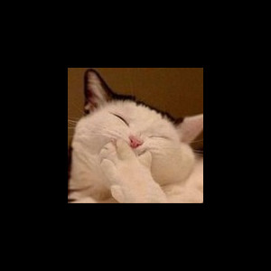 languafe's avatar