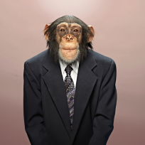 b6sh's avatar