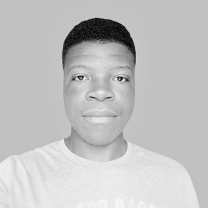 santosvilanculos's avatar