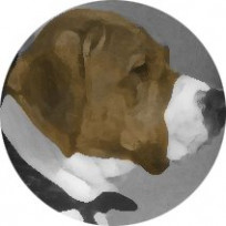JBinc10's avatar
