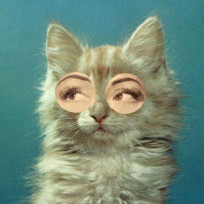 lulzshadowwalker's avatar