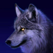 webmaxx's avatar