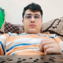 shahsawoodshinwari's avatar