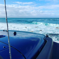 Raymond7905-36502477's avatar