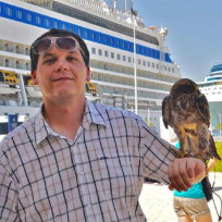 MislavNovalic's avatar