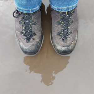 larschinkel's avatar