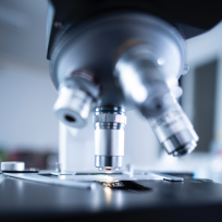 kazi94's avatar