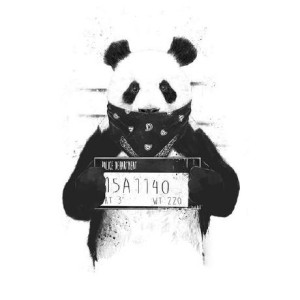 vicodeveloper's avatar