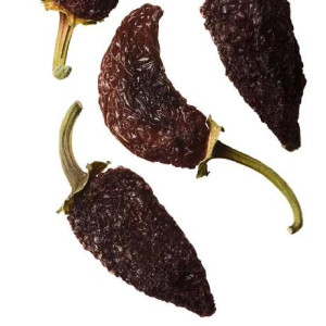 chipotlegroove's avatar