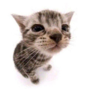 SergiyKazantsev's avatar