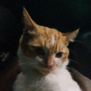 Archiruz's avatar